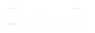 Developer 1